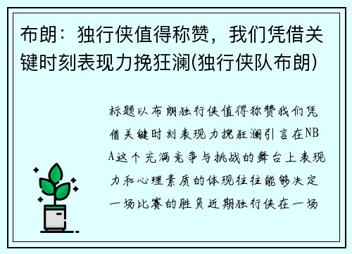 布朗：独行侠值得称赞，我们凭借关键时刻表现力挽狂澜(独行侠队布朗)